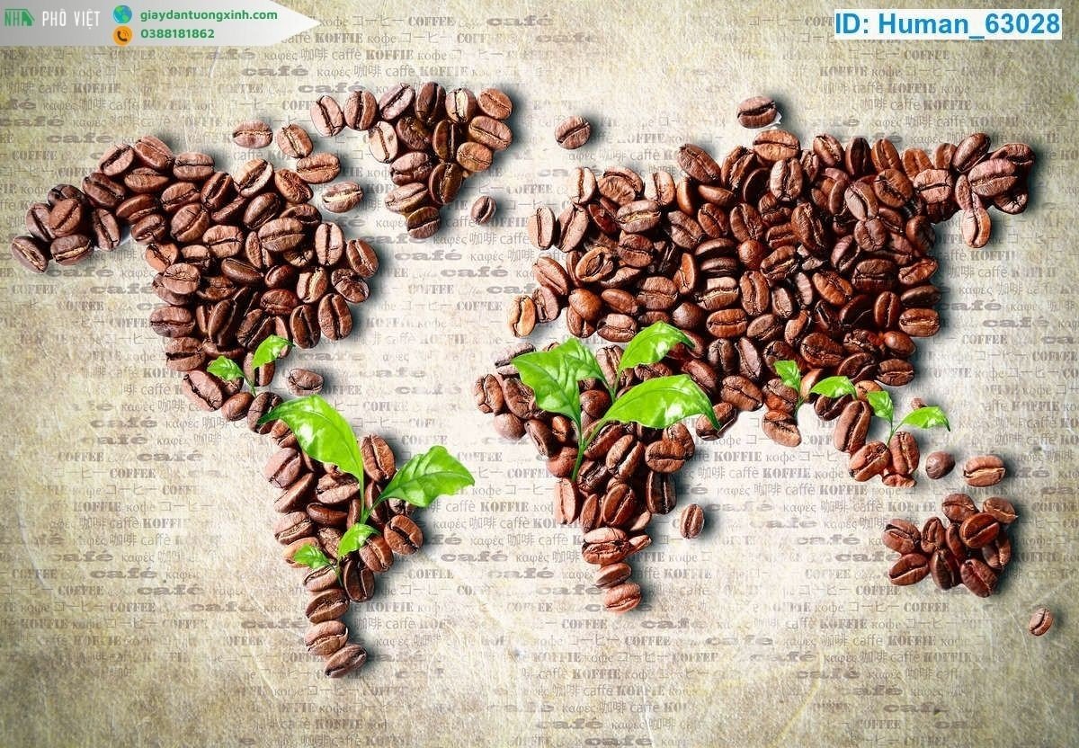 Tranh dán tường bản đồ hạt cà phê